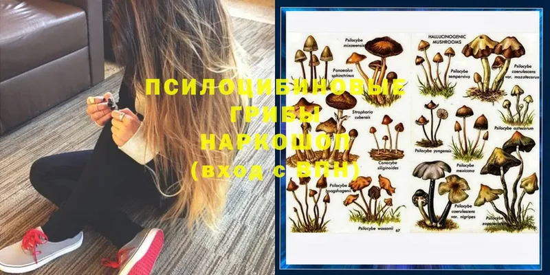 Галлюциногенные грибы Cubensis  Макушино 